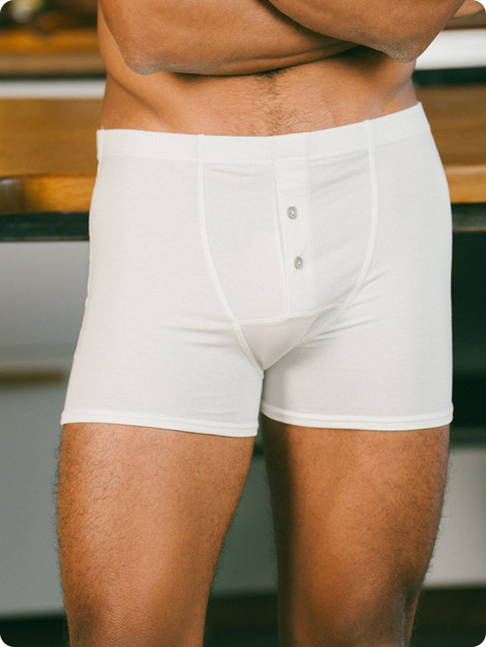 Le boxer héritage