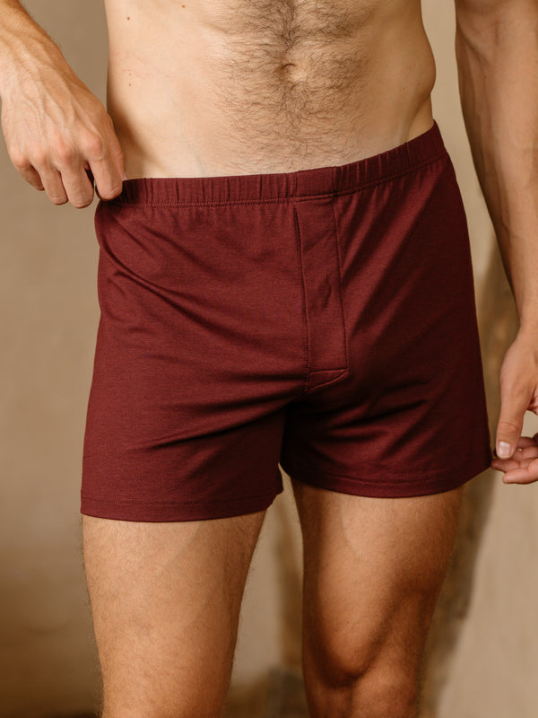 Pétrone caleçon coton pima micromodal bordeaux foncé homme