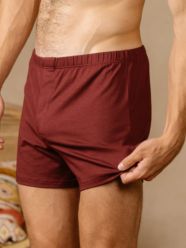 Pétrone caleçon coton pima micromodal bordeaux foncé homme