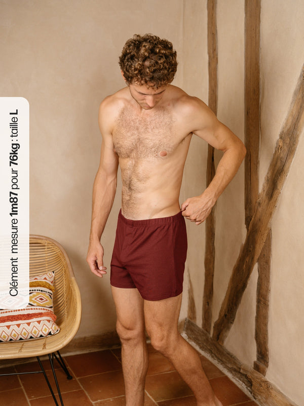 Pétrone caleçon coton pima micromodal bordeaux foncé homme
