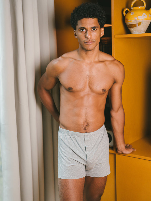 Pétrone caleçon coton pima micromodal gris chiné clair homme
