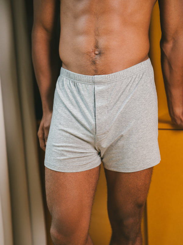 Pétrone caleçon coton pima micromodal gris chiné clair homme
