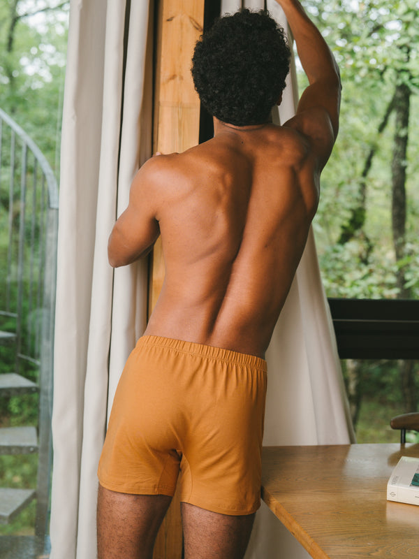Pétrone caleçon coton pima micromodal ocre homme