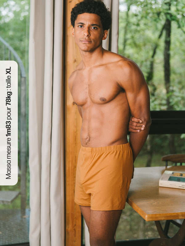 Pétrone caleçon coton pima micromodal ocre homme