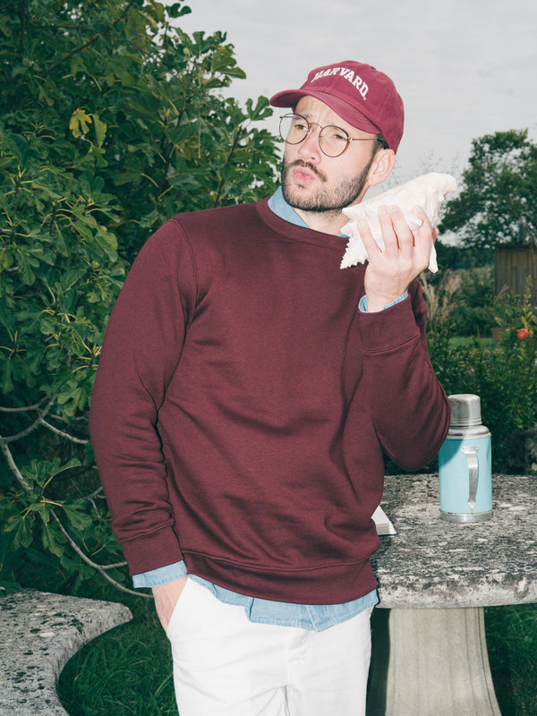 Pétrone sweat homme Tencel coton bio bordeaux homme