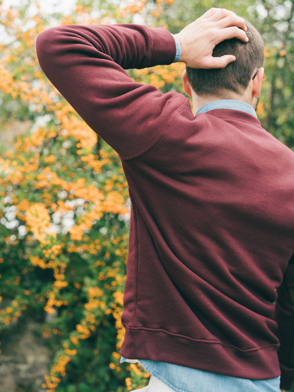 Pétrone sweat homme Tencel coton bio bordeaux homme