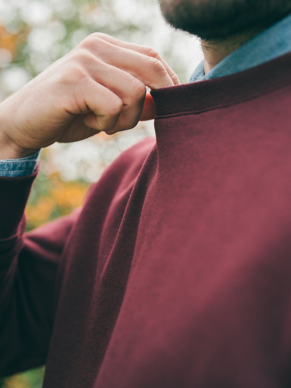 Pétrone sweat homme Tencel coton bio bordeaux homme