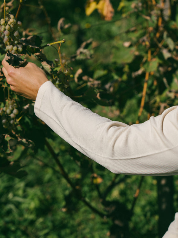 Pétrone Polo manches longues Tencel coton bio écru homme