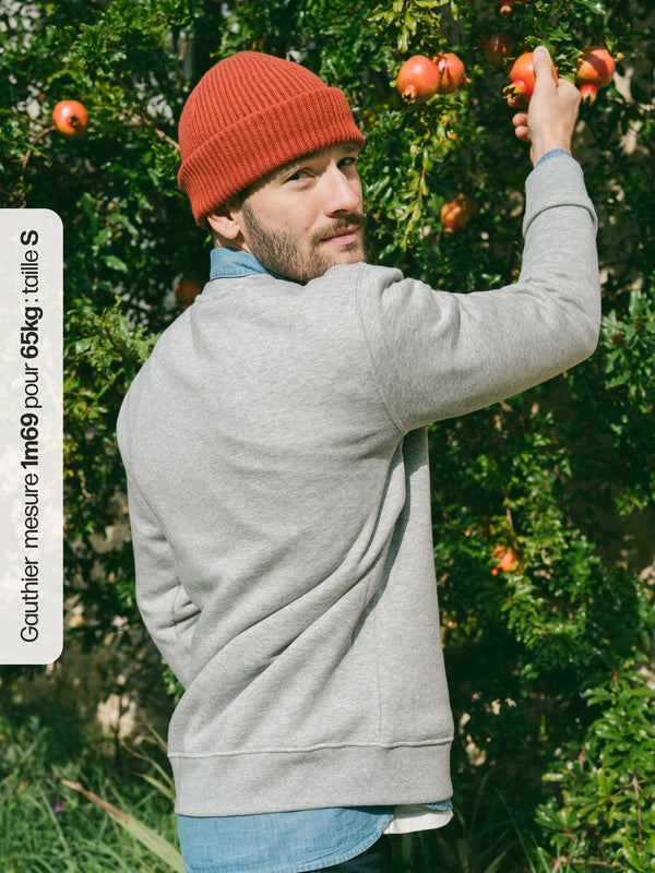 Pétrone sweat homme Tencel coton bio gris clair homme