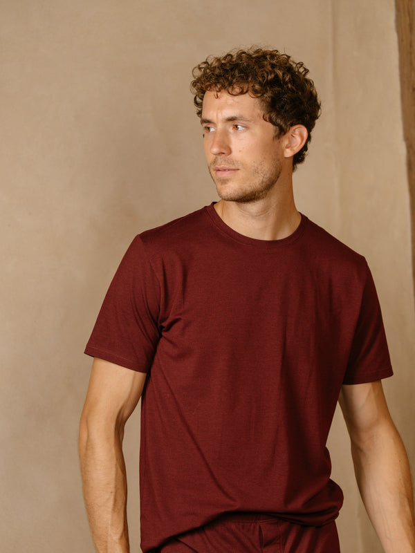 Pétrone T-shirt manches courtes coton pima micromodal bordeaux foncé homme