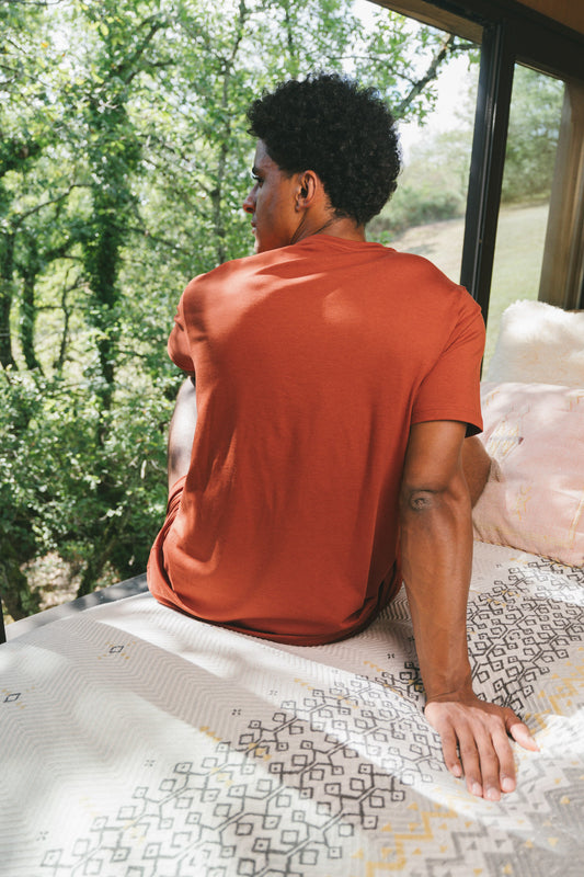 Pétrone T-shirt manches courtes coton pima micromodal rouille homme