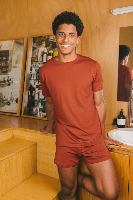 Pétrone T-shirt manches courtes coton pima micromodal rouille homme