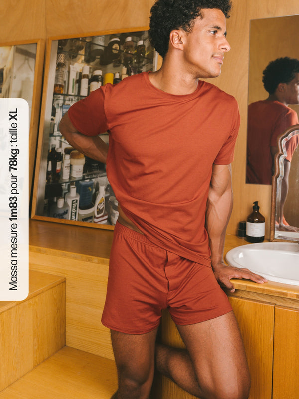 Pétrone T-shirt manches courtes coton pima micromodal rouille homme