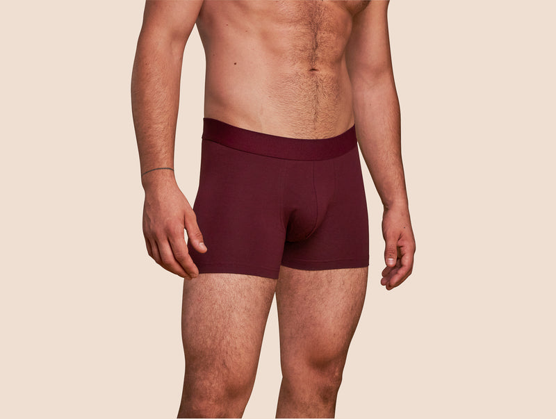Pétrone boxer coton bio bordeaux foncé homme