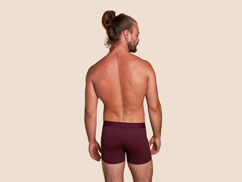 Pétrone boxer coton bio bordeaux foncé homme