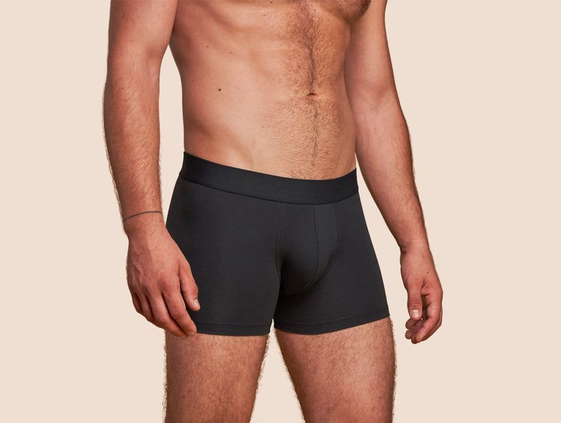 Pétrone boxer coton bio gris anthracite homme